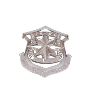 Tub ceev xwm Pin Badge